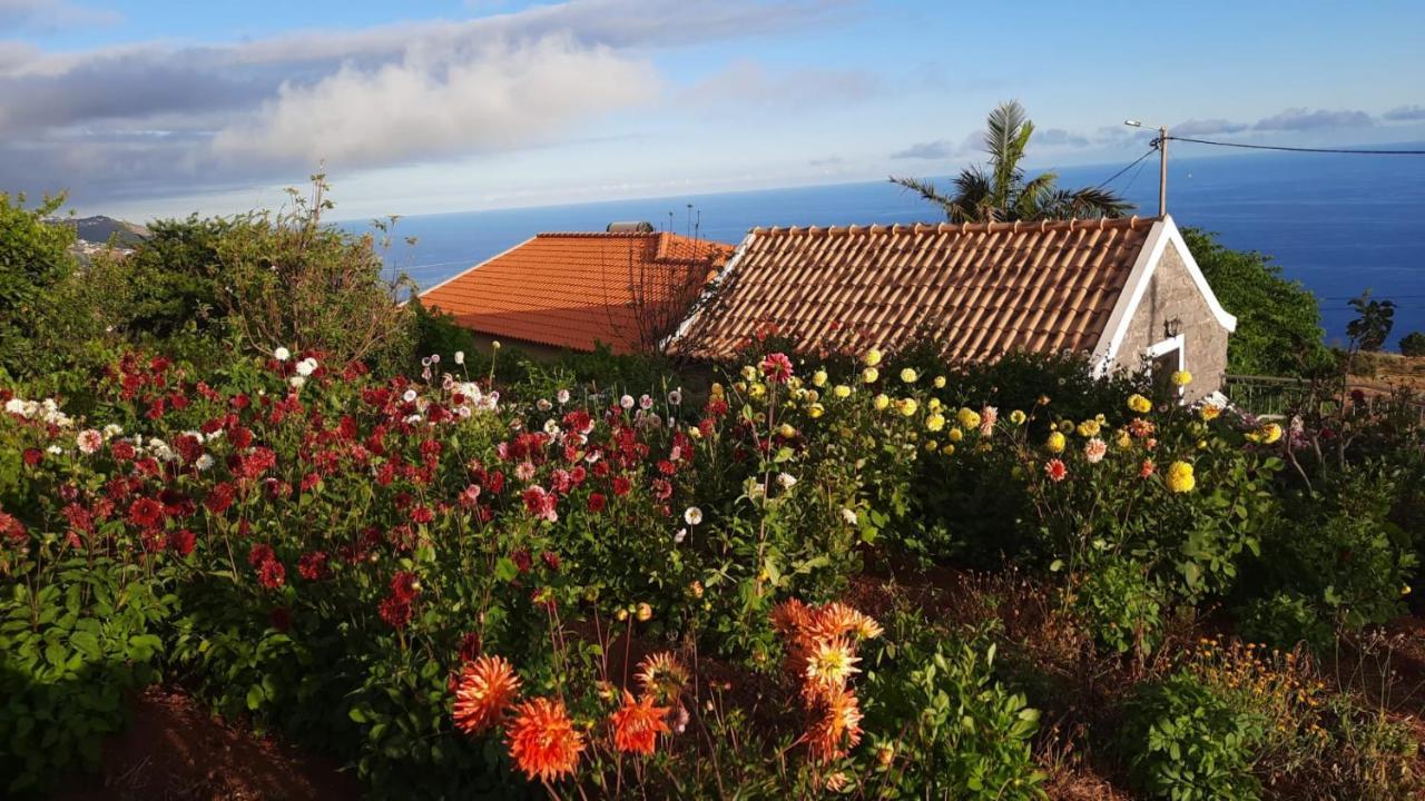 Palheiro Cavalinho Holiday home